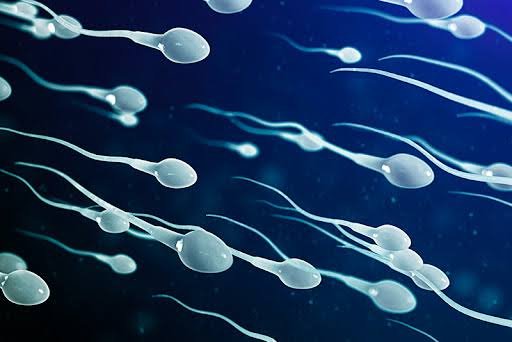 8 Signs of a Healthy Sperm