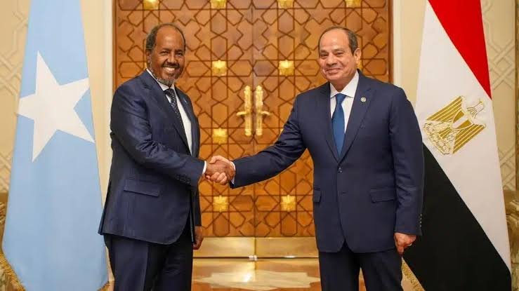 Egypt and Somalia Join Forces to Boost Military Cooperation