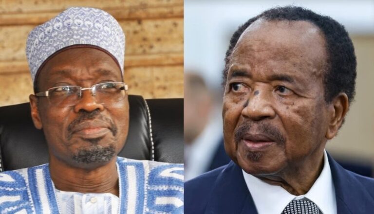 Cameroon’s Top Court Clears Path for Final Presidential Election Results Amid Disputes